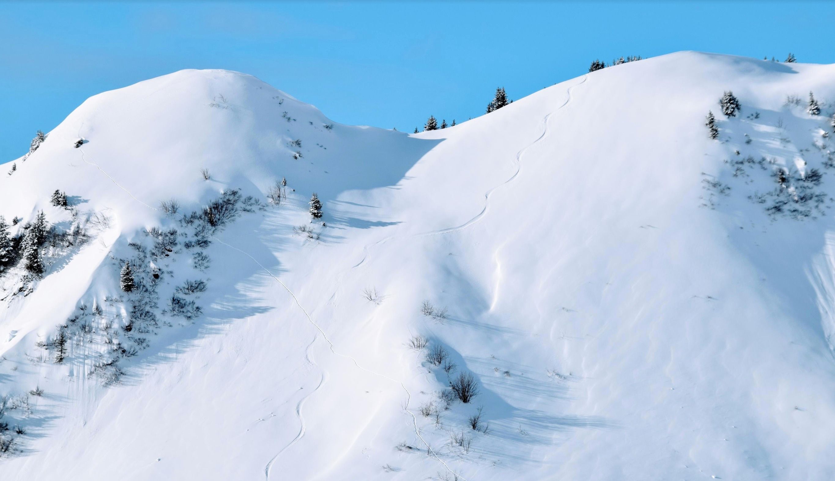Powder lines