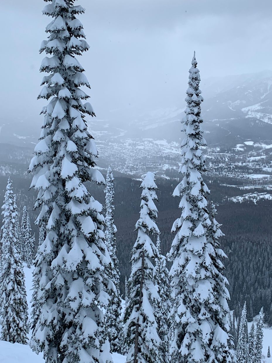 Fernie seen from Snake Ridge