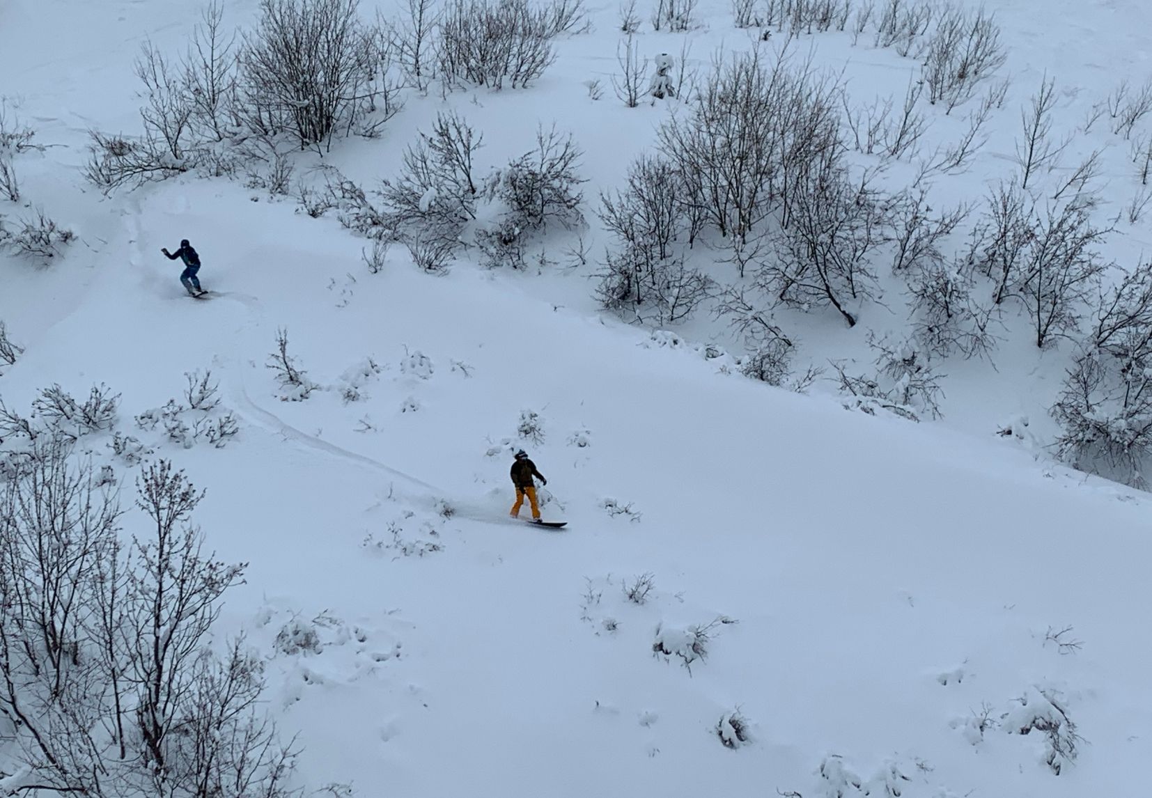 Daaf and Morris in Cedar Bowl