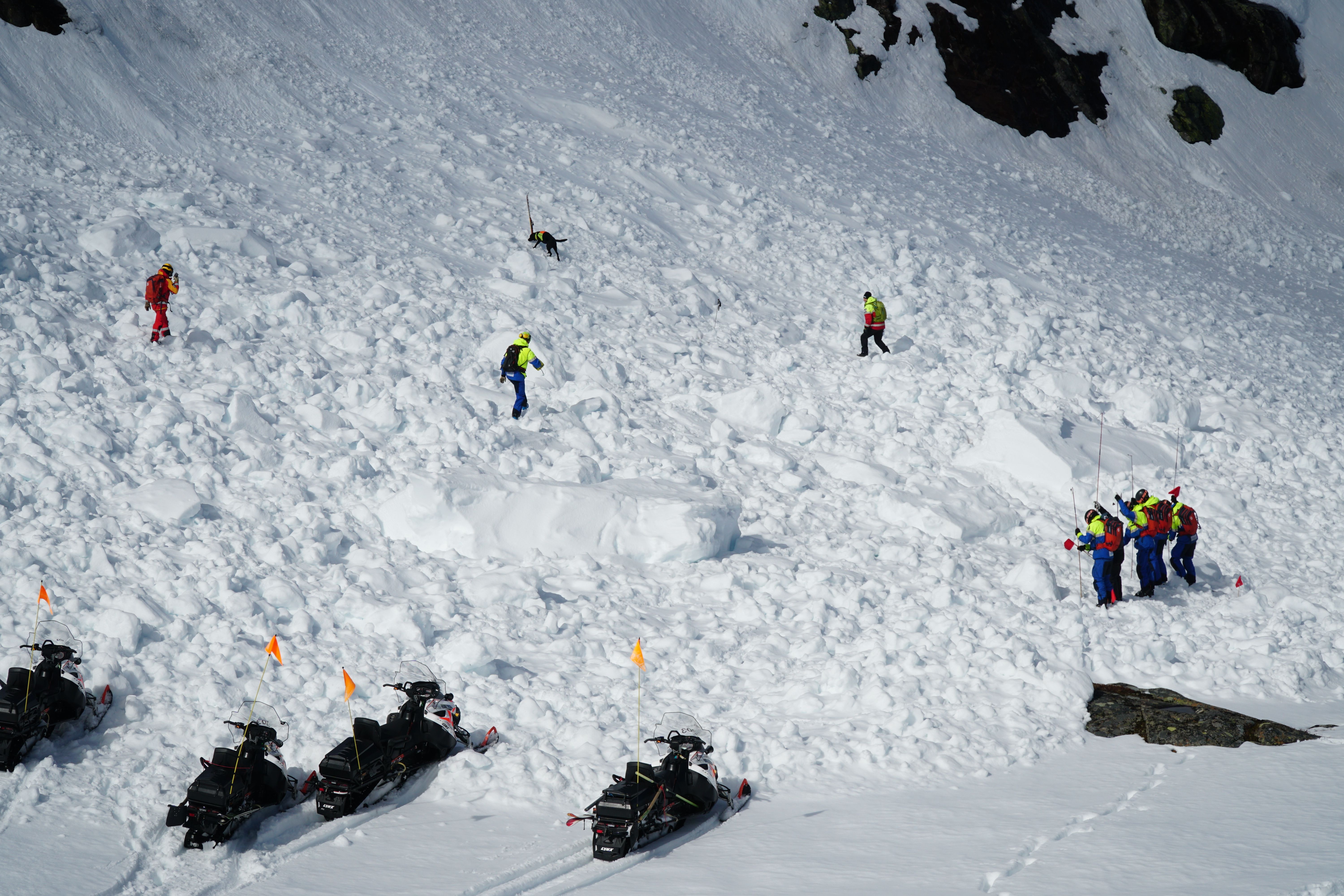 Avalanche rescue by organised rescue using avalanche transceiver, RECCO detector, rescue dog and probe line in parallel.