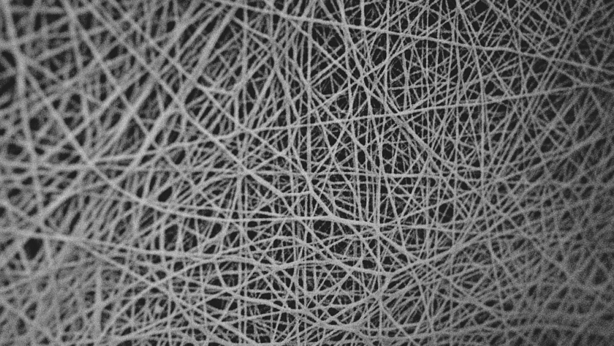 FUTURELIGHT under a huge magnifying glass