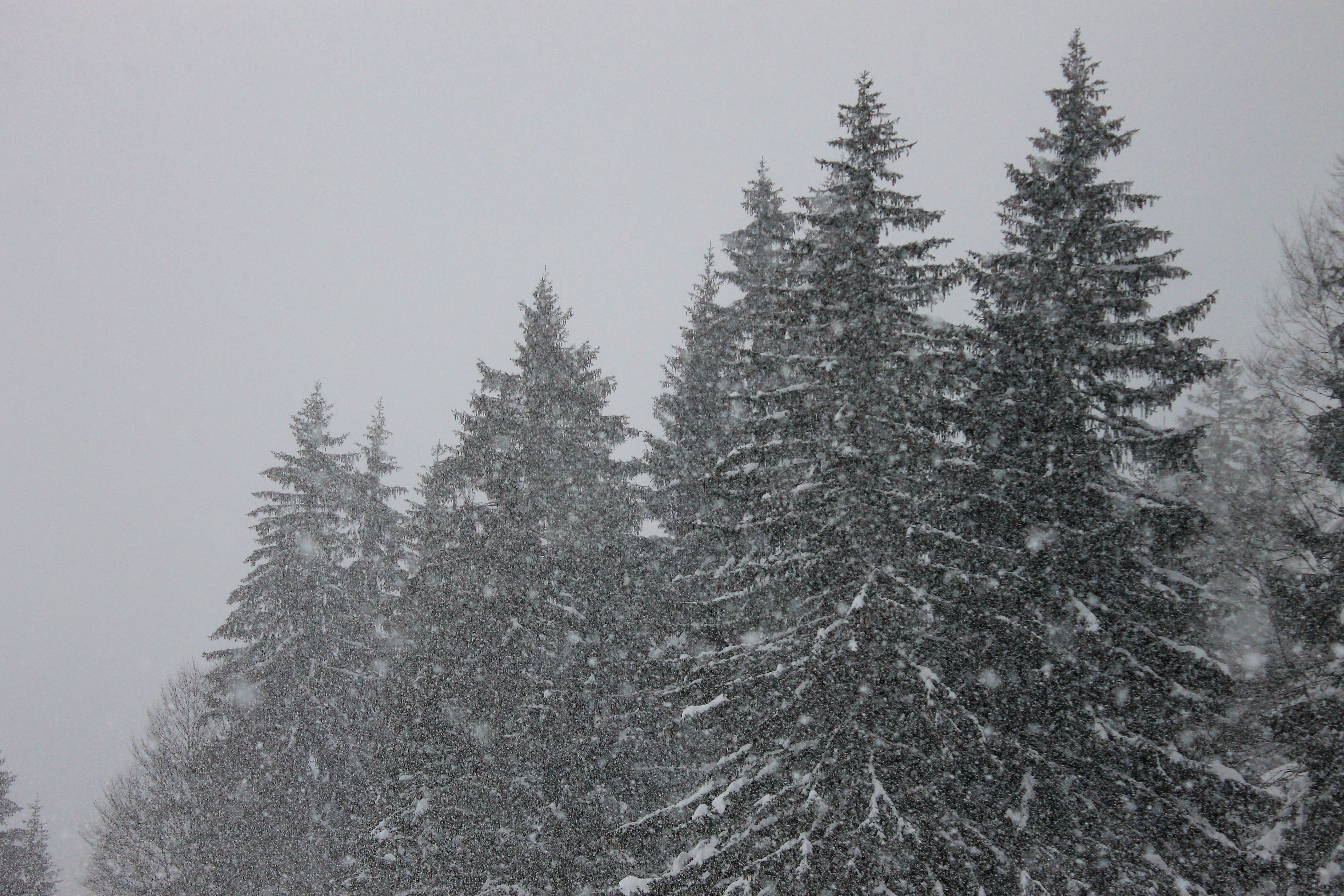 Right in the middle of a Nordstau in January 2019