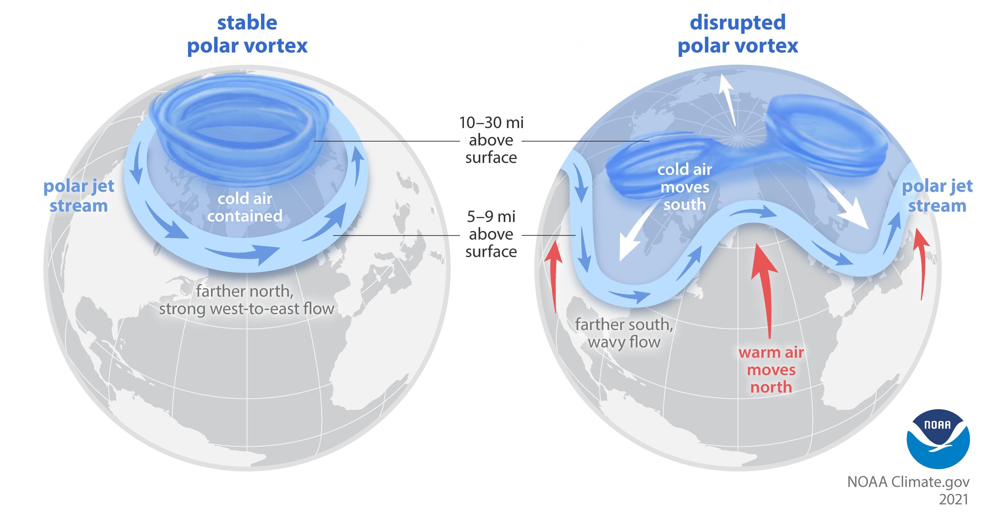 Een Sudden Stratospheric Warming kan de polar vortex in de stratosfeer in tweeën delen (rechts) (climate.gov)