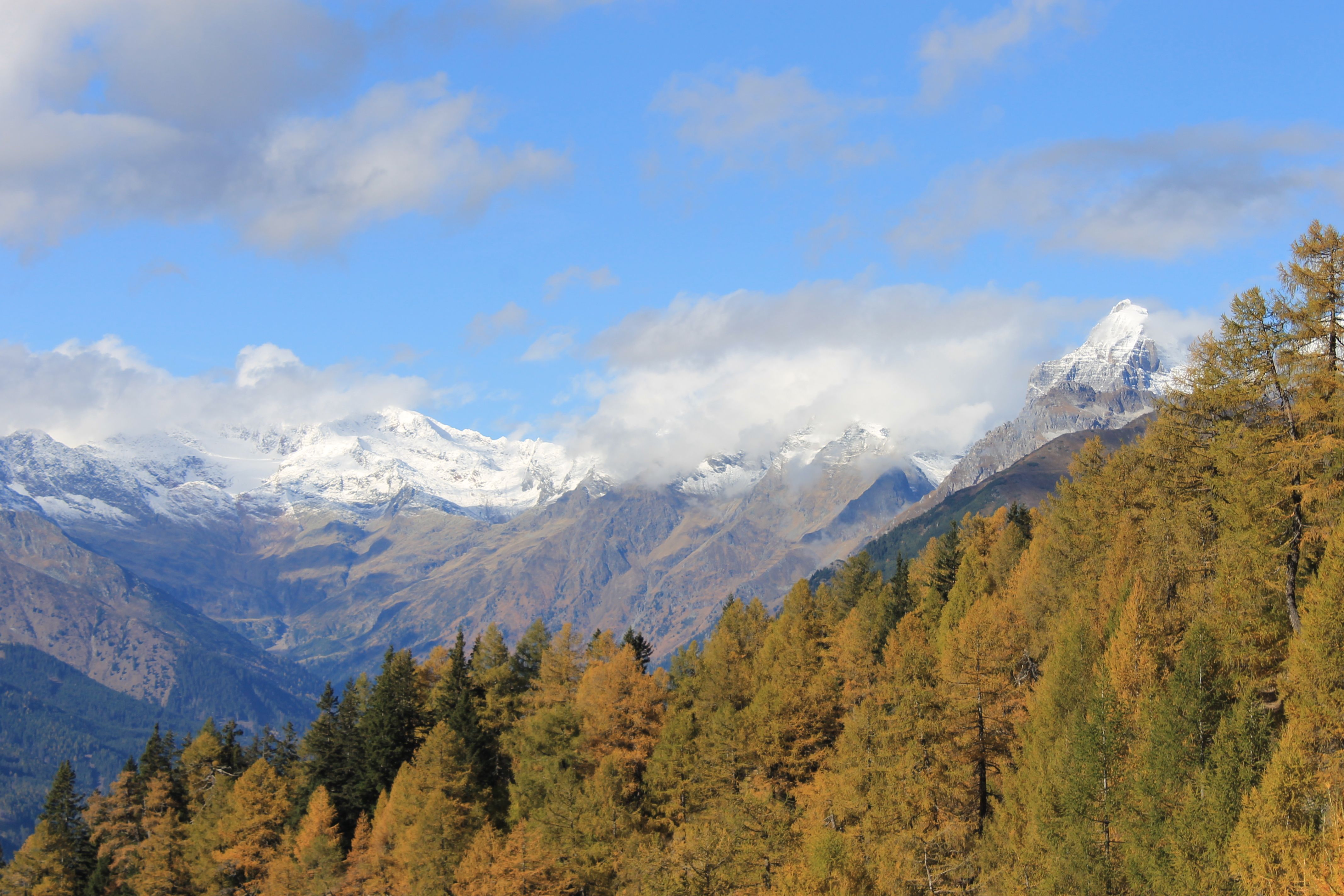 Golden autumn in South Tyrol Golden autumn in South Tyrol
