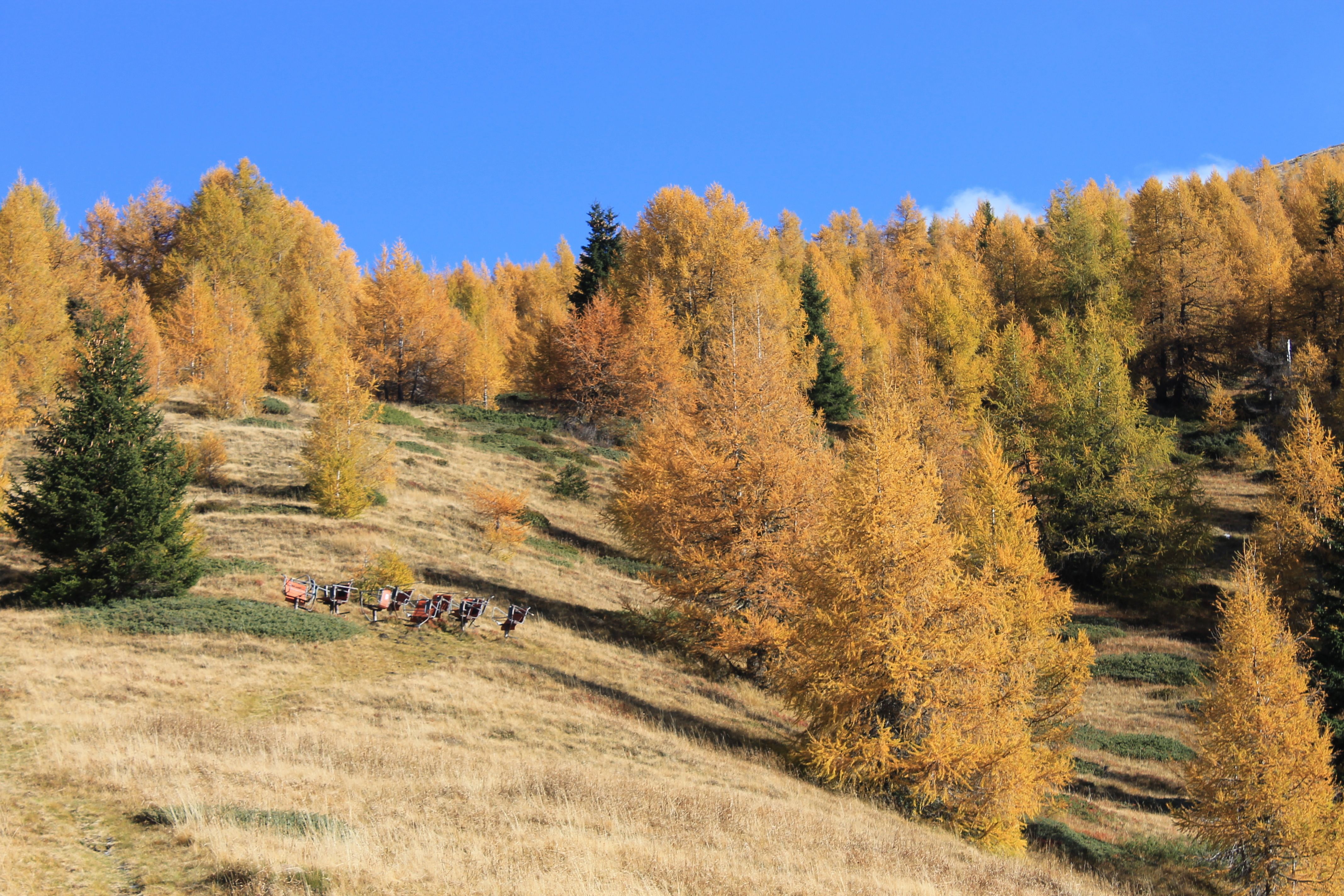 The larch forest at the Hühnerspiel including a ski area relic from the last century The larch forest at the Hühnerspiel including a ski area relic from the last century
